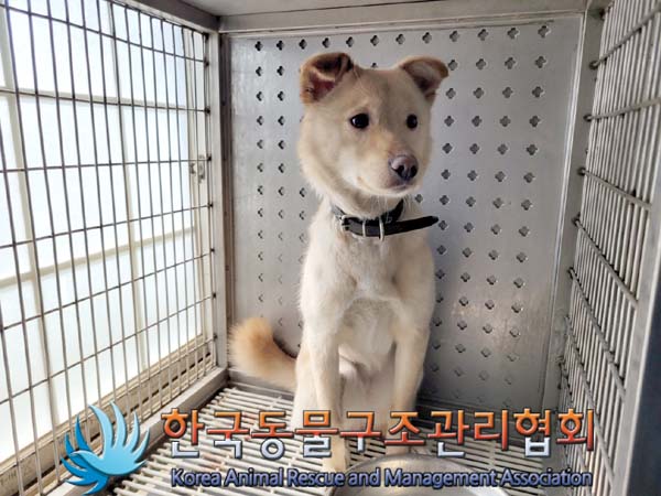 한국동물구조관리협회_411312202400271